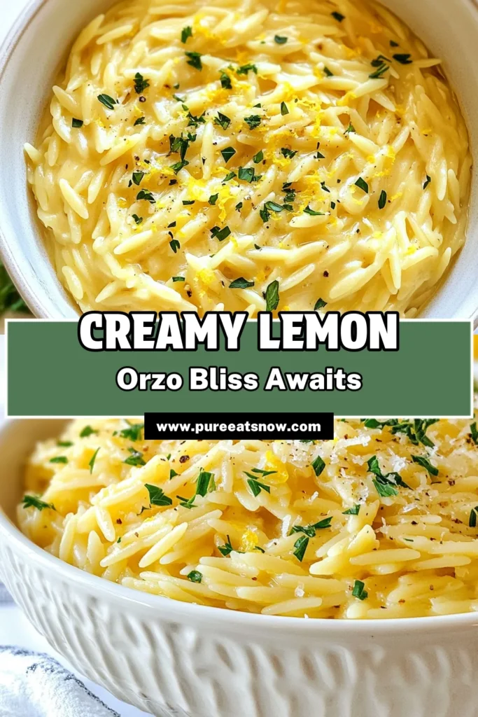 Discover how to make a delicious creamy lemon garlic orzo with this easy orzo recipe. This vegetarian creamy orzo combines orzo pasta with garlic, fresh lemon juice, and creamy goodness for a delightful meal that’s ready in just 20 minutes. Perfect for weeknight dinners or special occasions! Save this recipe for a tasty lemon orzo pasta that everyone will love. Try it today! #CreamyLemonGarlicOrzo #EasyOrzoRecipe #VegetarianCreamyOrzo #LemonOrzoPasta