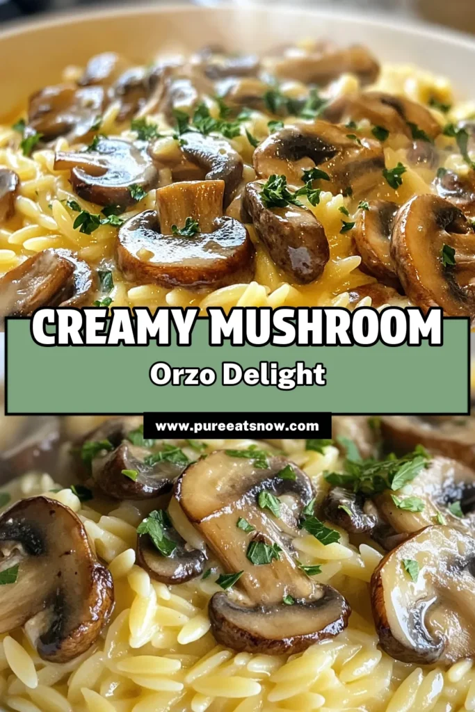 Indulge in this creamy garlic mushroom orzo, an easy orzo pasta recipe that's perfect for weeknight dinners! This mushroom orzo dish combines tender orzo with sautéed mushrooms and a luscious creamy sauce, making it one of the best vegetarian pasta recipes you'll ever try. Quick to prepare in just 25 minutes, it’s a creamy Italian orzo delight you won’t want to miss. Save this recipe for an effortless meal tonight! #VegetarianRecipes #PastaNight #ComfortFood #OrzoRecipes