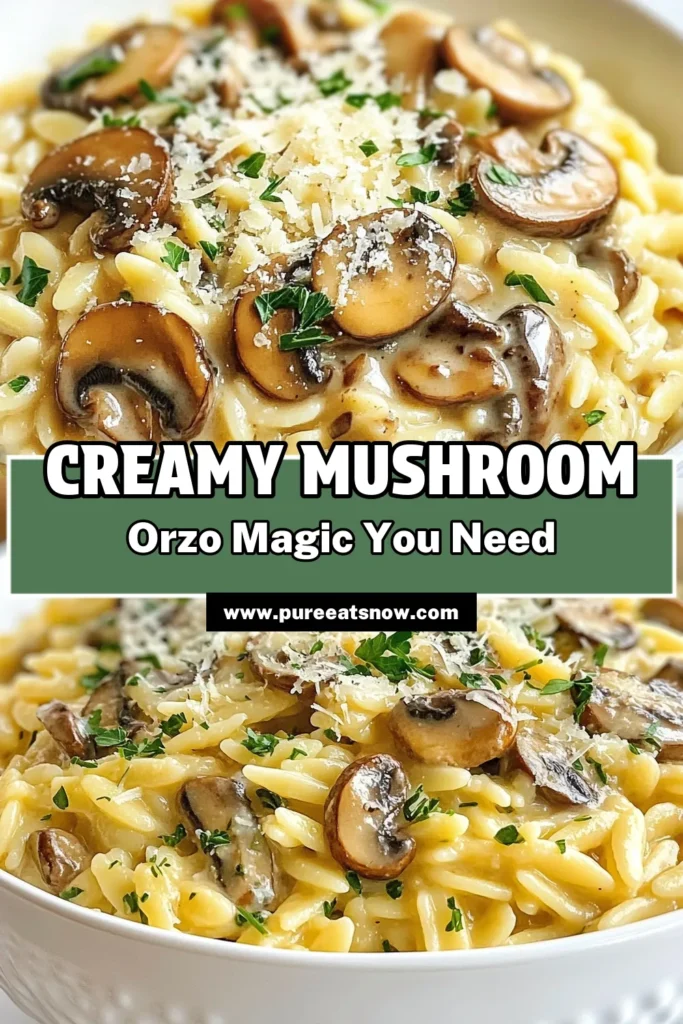 Discover the ultimate creamy mushroom orzo recipe that's perfect for your meatless meals! This easy orzo pasta recipe combines rich flavors of mushrooms and heavy cream for a delightful vegetarian orzo dish. Made in just one pot, this orzo with heavy cream is a comforting, quick dinner option. Savor each bite and impress your family with this creamy mushroom orzo. Try it today! #CreamyMushroomOrzo #EasyDinner #VegetarianRecipes #OnePotMeals