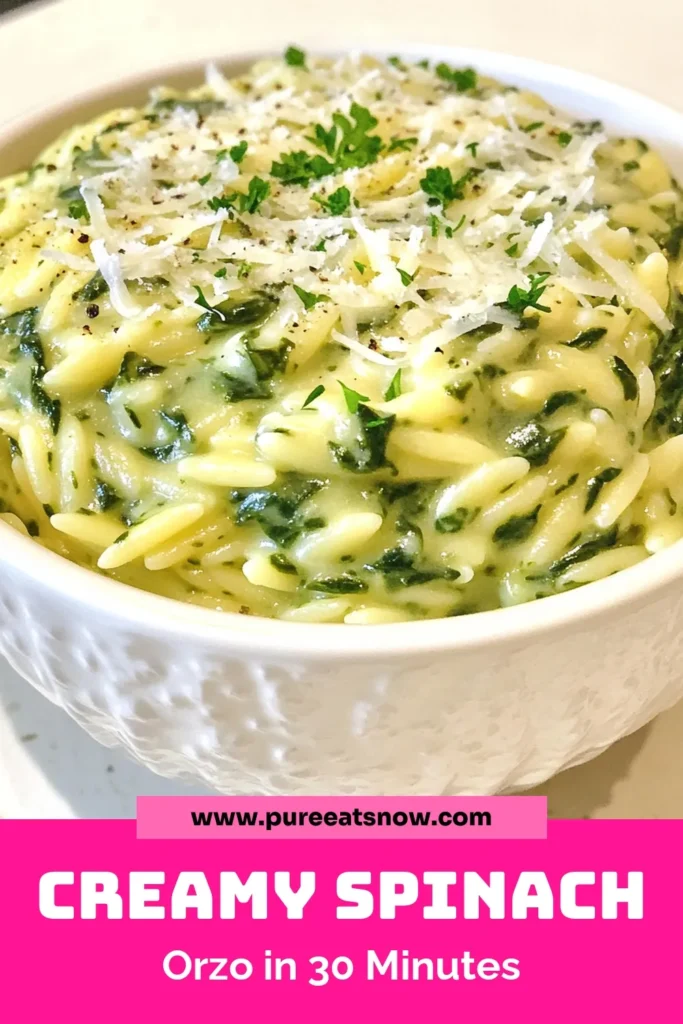 Discover this delicious creamy spinach orzo recipe that combines fresh spinach and orzo pasta in a single pot for an easy orzo pasta dish that's perfect for weeknight dinners. Enjoy a tasty vegetarian spinach orzo that’s creamy and healthy, featuring a rich blend of flavors. Ready in just 30 minutes, it’s a must-try! Click to save this healthy orzo with spinach for your next meal prep! #OrzoRecipe #VegetarianDinner #HealthyEating #OnePotMeal
