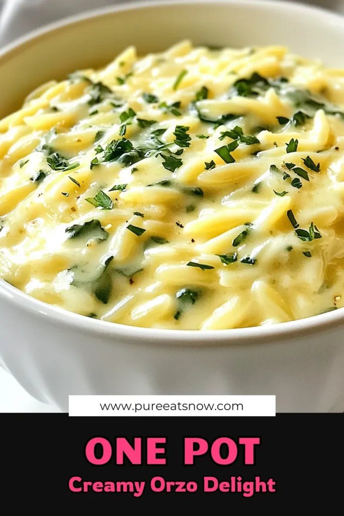 Savor the deliciousness of this Creamy Alfredo Orzo, a delightful One-Pot Pasta Recipe that’s perfect for busy nights. This Easy Vegetable Alfredo is packed with flavor and topped with fresh spinach, making it a delicious choice for a quick dinner. In just 20 minutes, you can enjoy this Spinach Orzo Pasta that's creamy, comforting, and satisfying. Save this recipe and bring it to your table tonight! #PastaRecipes #OnePotMeals #QuickDinner #EasyCooking